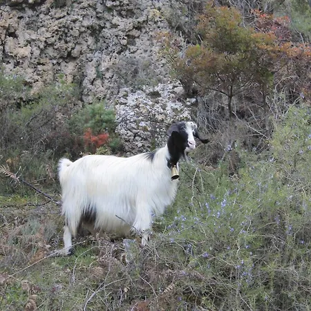 Bed & Breakfast Sardinia Climbing House Ulassai